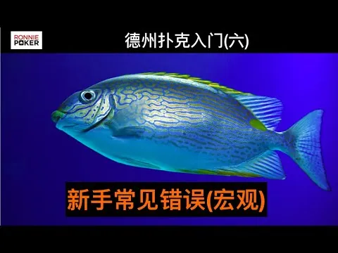 德学院-最专业的华人德州扑克学习与策略分享社区